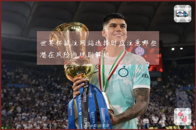 世界杯投注网站选择时应注意哪些潜在风险与规则解析